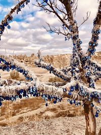 Flock of birds on field against sky