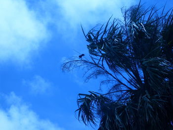 Low angle view of silhouette tree against sky during winter