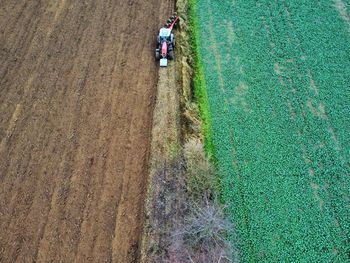 High angle view of people working in farm