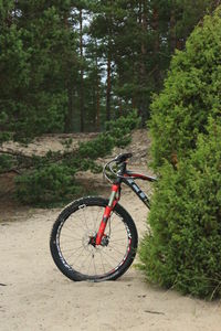 Side view of bicycle parked in forest