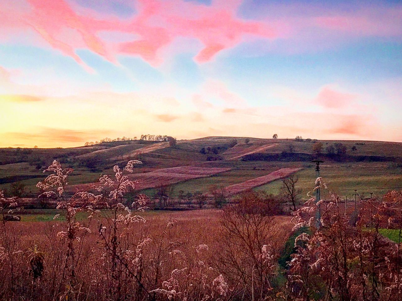 agriculture, sky, sunset, landscape, beauty in nature, scenics, farm, tranquil scene, nature, rural scene, field, outdoors, cloud - sky, tranquility, no people, day