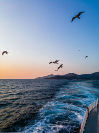 Seagulls flying over sea against clear sky