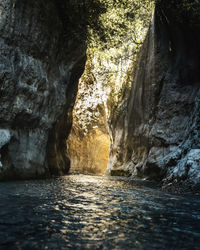 Scenic view of waterfall