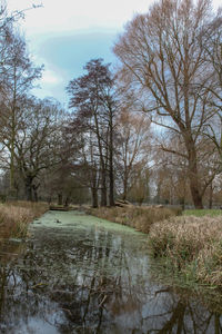 Trees by lake against sky during winter