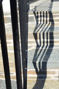 Low section of man standing in water