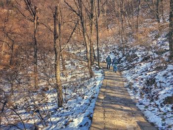 Shadow of person on snow covered footpath in forest