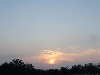 Silhouette trees against sky during sunset