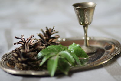 Close-up of drink served on table