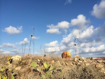 Plants on field against sky