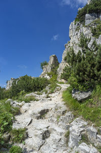 Road of 52 galleries is a military trail built during world war i on the  pasubio vicenza, italy