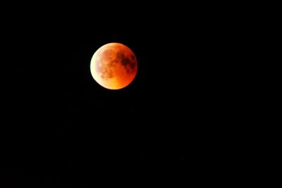 View of moon at night