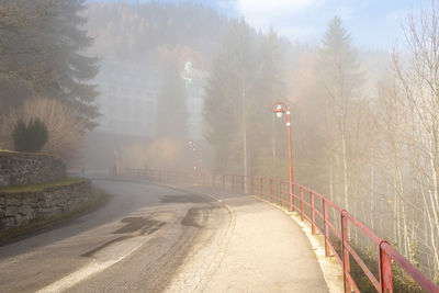 Road by trees during foggy weather