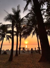 Silhouette palm trees on beach against sky during sunset