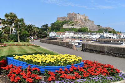 View of flowering plants by sea against sky