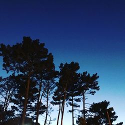 Low angle view of silhouette trees against clear blue sky