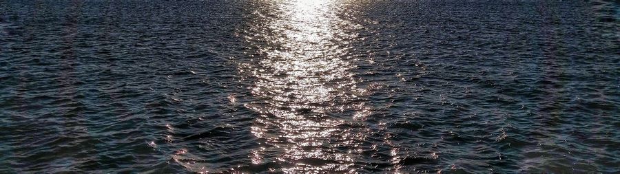 Reflection of trees in water