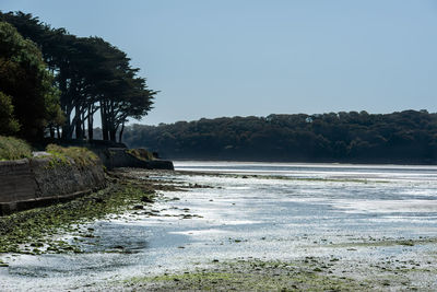 Scenic view of sea against clear sky