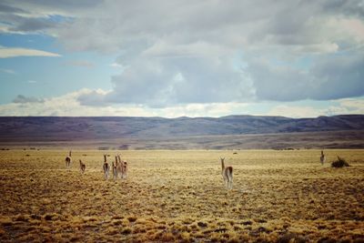 Group of people on field against sky