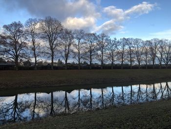 Bare trees on field by lake against sky