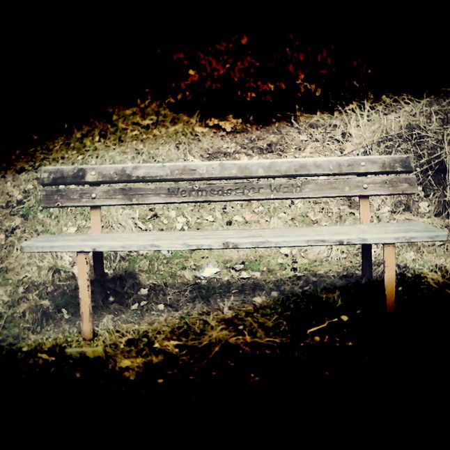 abandoned, old, wood - material, tree, built structure, night, plant, no people, wooden, weathered, text, outdoors, wood, growth, steps, damaged, architecture, wall - building feature, gate