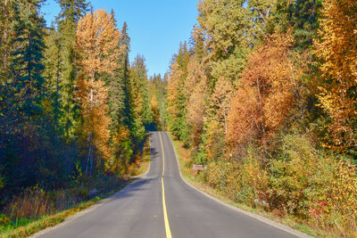 Road amidst trees during autumn