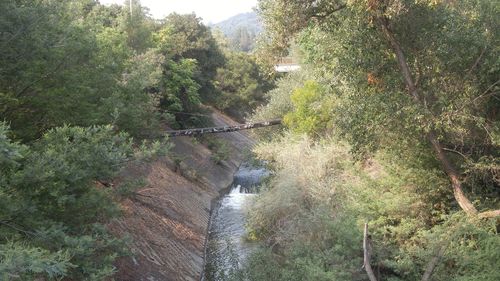 High angle view of river amidst trees in forest