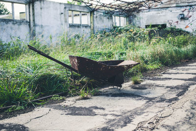 Abandoned house in greenhouse