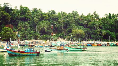 Boats in sea