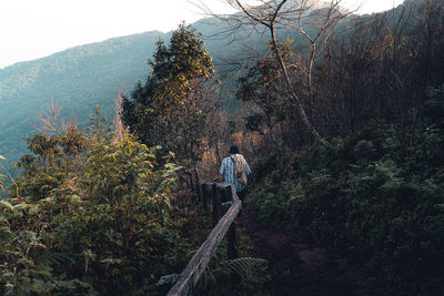 Full length of man on tree mountain