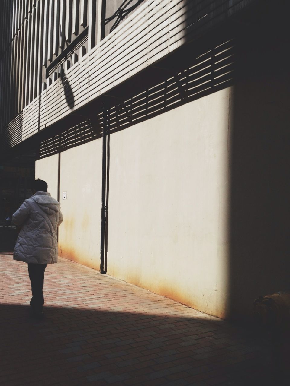 full length, architecture, built structure, walking, rear view, lifestyles, men, building exterior, indoors, standing, leisure activity, shadow, sunlight, silhouette, wall - building feature, casual clothing, day, side view