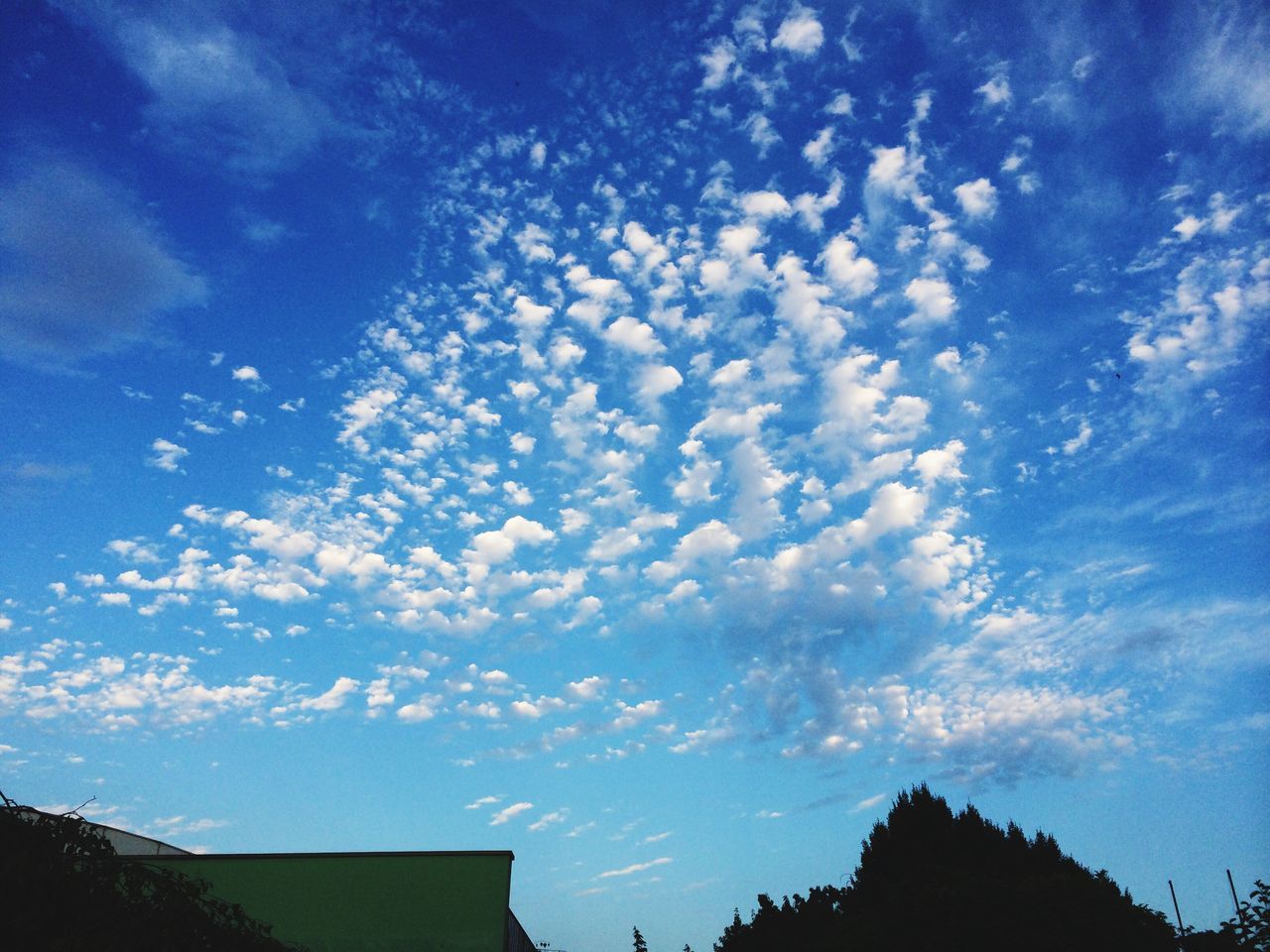 low angle view, sky, blue, cloud - sky, silhouette, beauty in nature, scenics, nature, tranquility, cloud, tranquil scene, tree, built structure, outdoors, no people, day, architecture, sunlight, building exterior, high section