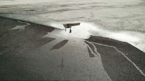 Horse in water against sky