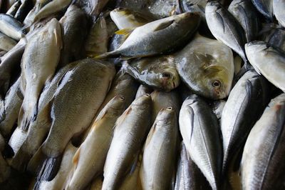 Full frame shot of fish for sale in market