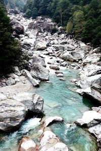 Stream flowing through rocks