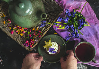 High angle view of hand holding purple flowering plant