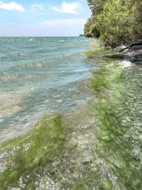 Scenic view of sea against sky