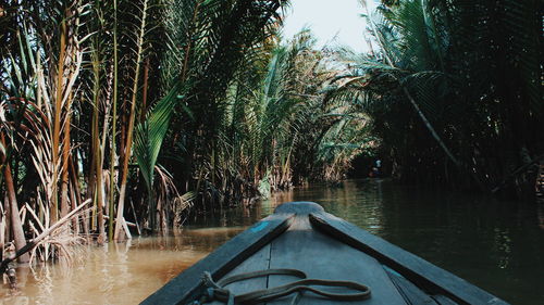 Reflection of palm trees in swimming pool