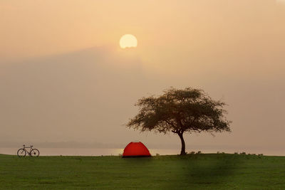 Scenic view of field against sky during sunset