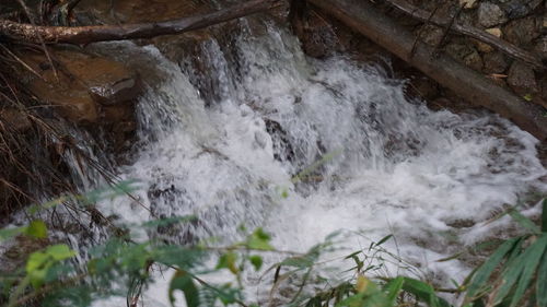 View of waterfall in forest