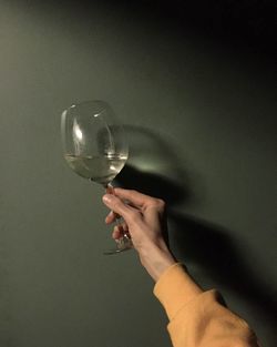 Cropped image of woman holding wineglass against wall