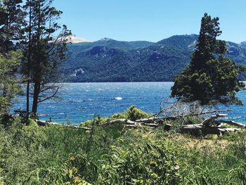 Scenic view of sea against clear sky