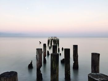 View of wooden posts in sea