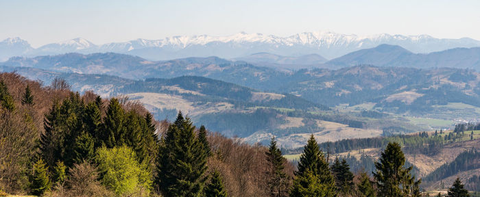 Panoramic view of trees and mountains against sky