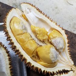 High angle view of durian