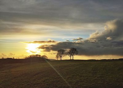 Trees on landscape against cloudy sky