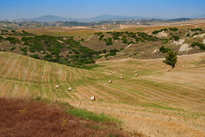 Scenic view of agricultural field