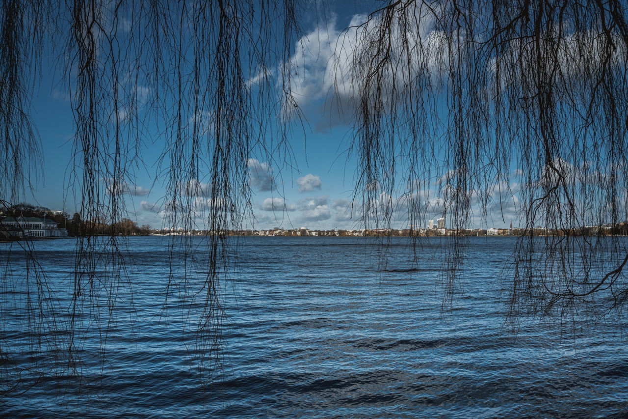 water, tranquility, scenics - nature, tranquil scene, beauty in nature, sky, waterfront, tree, nature, no people, sea, plant, non-urban scene, day, blue, outdoors, idyllic, cloud - sky, sailboat