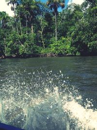 River flowing through rocks