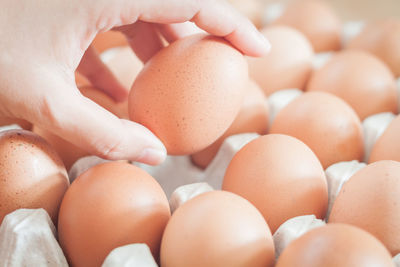 Cropped image of hand holding egg