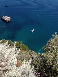 Airplane flying over sea